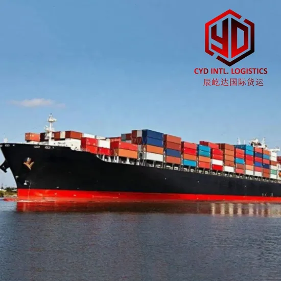 Low Price Chinese Shipping Agent Logistic Company Dropshipping Safe DDU DDP Door to Door Shipping Global Shipping Services Freight Forwarder to Singapore