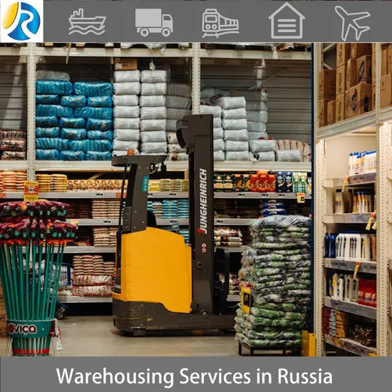 "Warehouse Service Innovation: Storage Solutions in China and Russia"