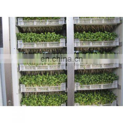 soy bean growing machine wheat growing machine bean sprout process machine