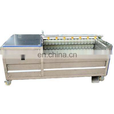 Brush washing peeling machine for carrot potato vegetables