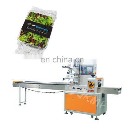 2020 New Design Automatic Horizontal Pickle Packaging Machine Sealing Plastic Case Japan Restaurant Argentina Commodity Malaysia