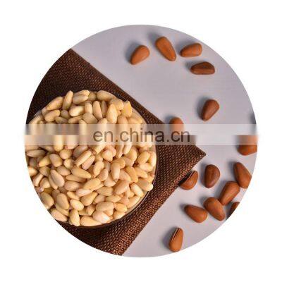 Byloo organic brazil pine nuts in shell pine nuts how much is 1 kilo pine nut b quality price in pakistan