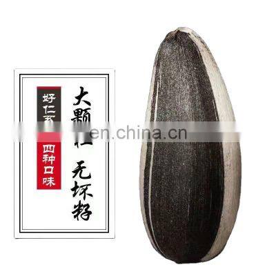 2022 byloo china sunflower seeds maldives highly yield sunflower seeds 601 raw