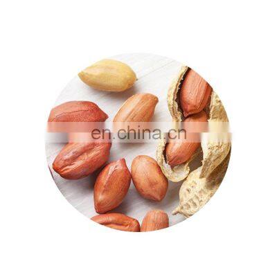 Cheap Price Dried Groundnut Bulk Raw Peanut In Shell
