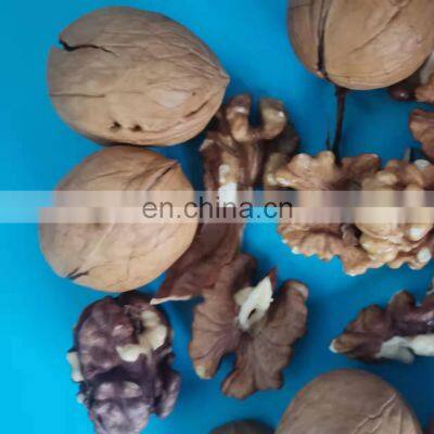 chocolate coated walnut importers of walnuts in dubai walnut red dates