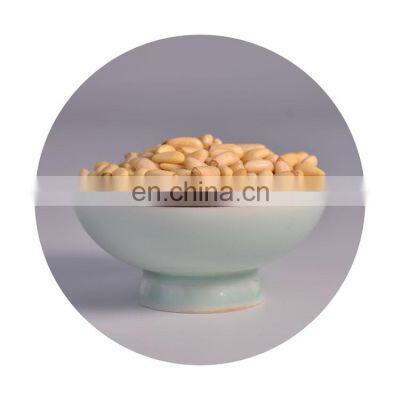 Byloo Top quality pine nut /pine nut kernels to us