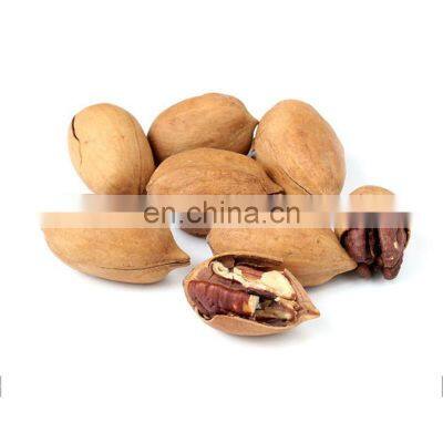 Byloo price cheap tasty harvest oil pecan nuts in shell to Thailand