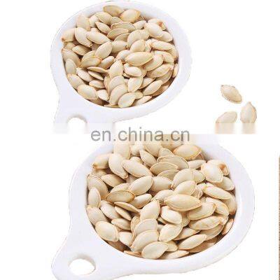 Byloo Chinese organic bulk market price snow white pumpkin seeds For Malaysia