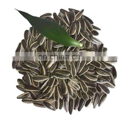 Freshly fried melon seeds five spice original flavor new bulk sunflower seeds