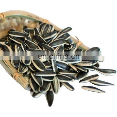 Wholesale price bulk sunflower seeds 361 363 601 for Egypt Egyptian market
