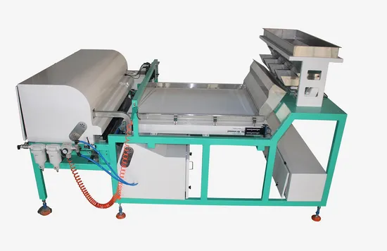 Conveyor Garlic Color Sorter Machine Garlic Selecting Machine