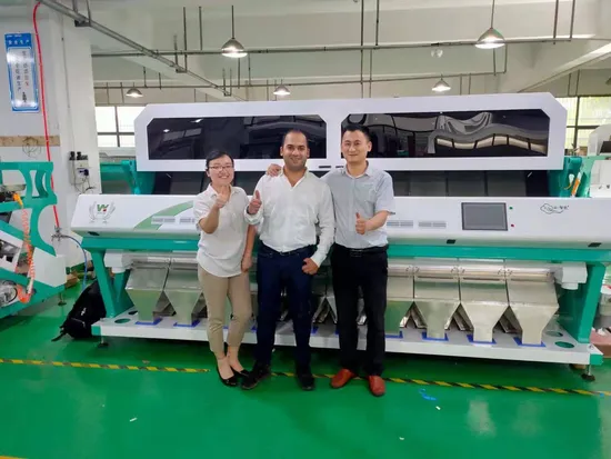 Wenyao Biggest Plastic Color Sorting Machine Plasitc Flakes Color Sorter with Efficient Ejector