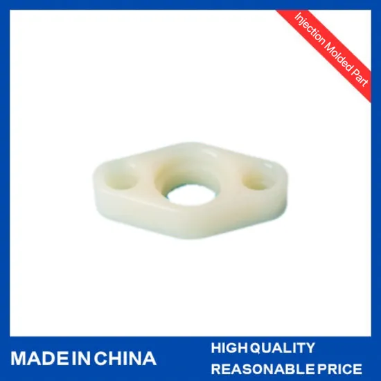 OEM Custom PA Plastic Injection Molding Nylon Molded Injected Gasket Part