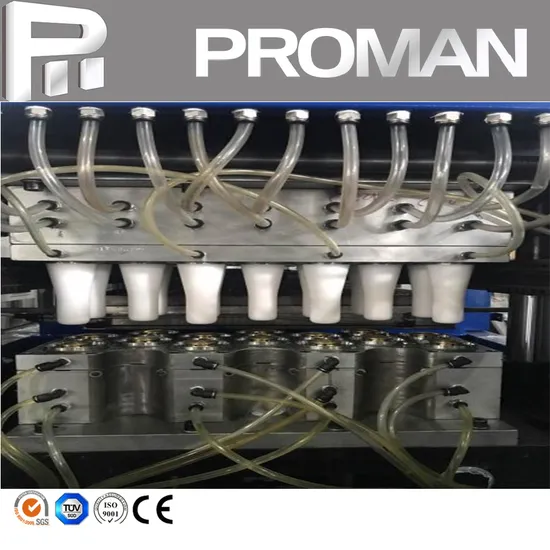 Automatic Plastic Fast Food Nut Box Water Filling Cup Making Thermoforming Molding Machine