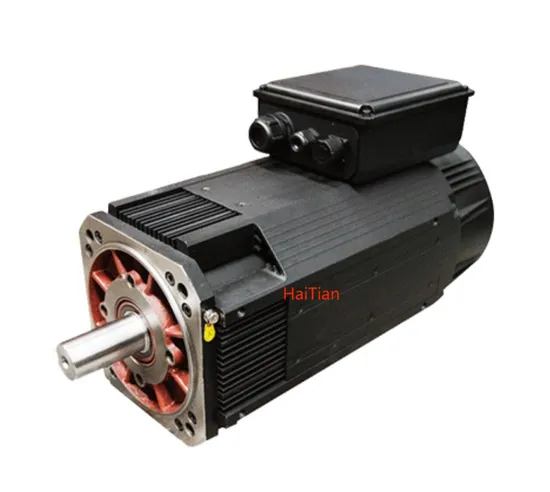 Injection Machine Servo Motor Feish\Bojie\Hekang Ruima\Haitian Hilectro\Mond\Bgs1005f17.3=1kw=72nm