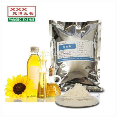 LIPASE CAS：9001-62-1 Food grade