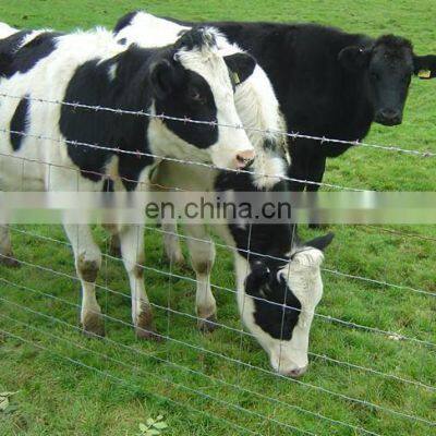 Endurable High Quality Poultry Welded Wire Mesh Netting for Horse Cattle Paddocks