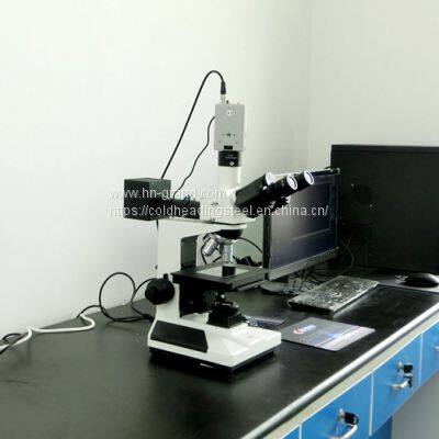 SAE10B21 6.5mm