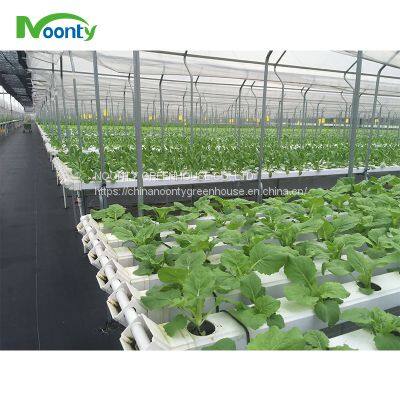 Farm Hydroponics