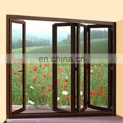 Standard Tempered Glass Factory direct coastal weatherproof aluminum alloy door with windows segmented combined folding window