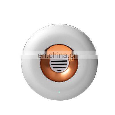 High Quality refrigerator deodorant, Inhibiting Bacteria Friage Mildew Proof Smell Remover for car Shoe Refrigerator Deodorant
