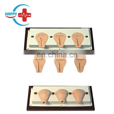 HC-S322 Medical human simulation Advanced abortion simulation/ model of the uterus