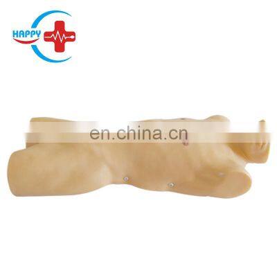 HC-S506 Medical science training model adult bone marrow puncture training manikin