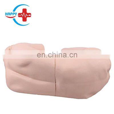 HC-S502 Medical training simulator human lumbar puncture model puncture training manikin