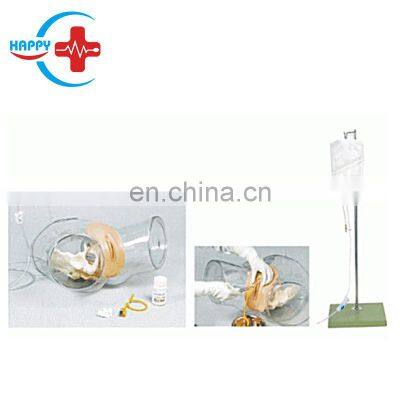 HC-S129 Advanced transparent female catheterization model/mannequin/manikin