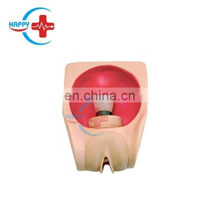 HC-S325 Senior female contraceptive model female genital organ model