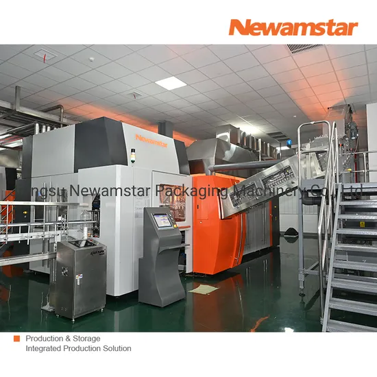 Automatic Blow Molding Machine for Pet Bottle