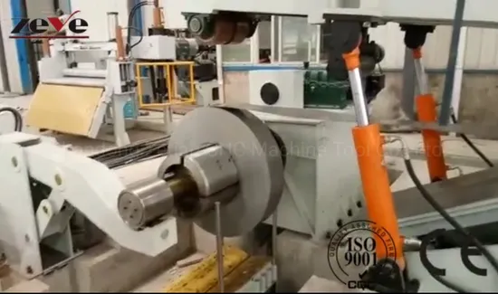Hr/Hrpo/Cr/Hrsc Metal Shear Leveler Machine From China Splendid Zeye