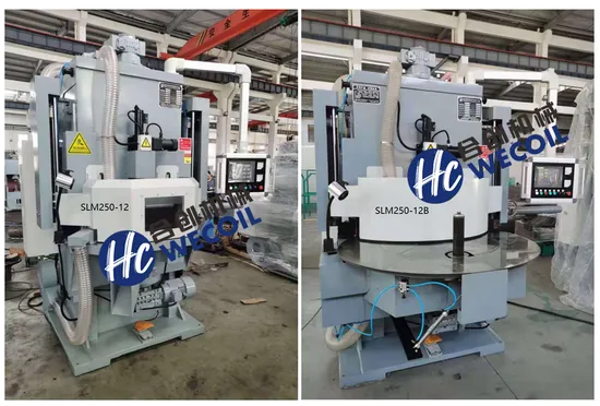 Wecoil-SLM250-12B--CNC spring end grinding machine