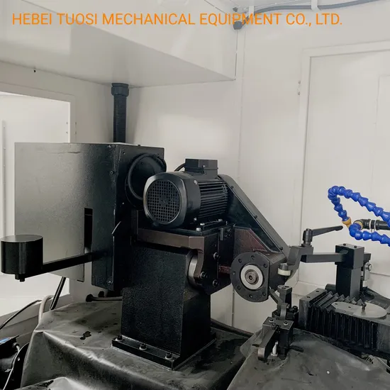 Torseleconomic Tct Saw Blade Sharpener Tfe650