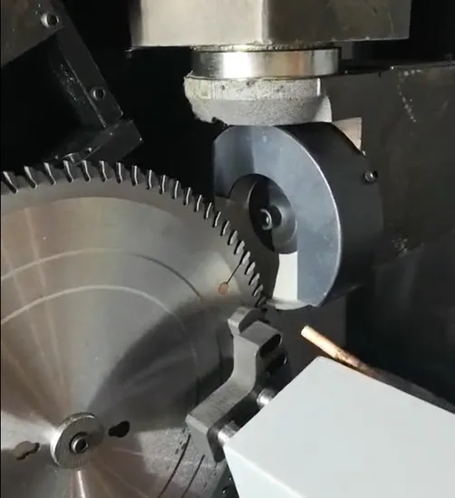 Torsel Dual Functions CNC Grinding Machine for Carbide Tipped Circular Saw Blades