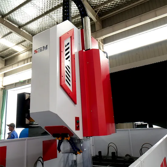 Competitive Price Multi Spindles Raintech CNC Tube Sheet Drilling Machine for Sale