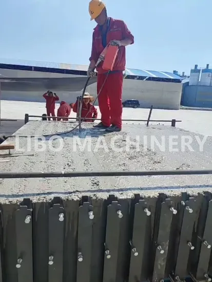 Precast Concrete Fence Panel and Post Molds Libo Machinery Made in China