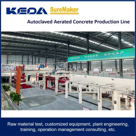 Aerated Concrete Block Production Machine for Building Material Making