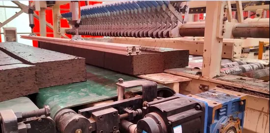 Malaysia Fully Automatic Clay Brick Production Line High Quality Brick Packaging