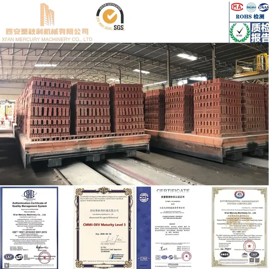European Standard Brick Molding Equipment for Birkenmayer Brick Machines with CE Certification
