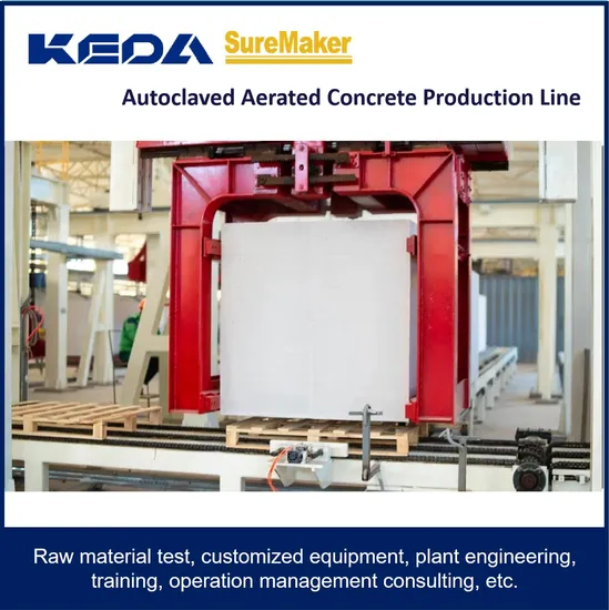 Automatic Alc Panel Production Line for Wall Material Making