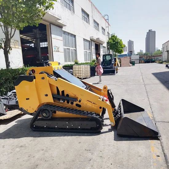 Construction Site Small Skid Steer Loader Hot Sale