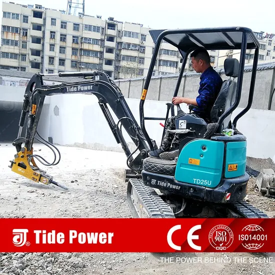 CE Certificate Multifunction 2t Mini Pelle Mini Excavator Digger