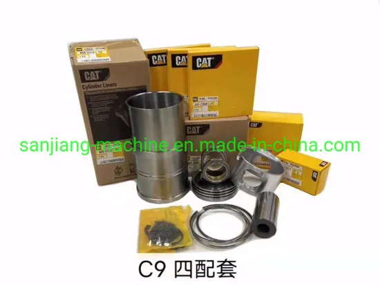Construction Machinery Engine Parts Excavator Part Liner Kit (C9)