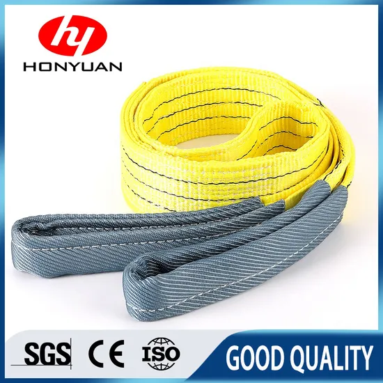 Double Sleeve Polyester Endless Round 2t X 2m Webbing Lifting Sling Belt