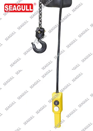 > 20m Platform Seagull/OEM Wooden Case 0.25t-10t China Electric Lifting Hoist