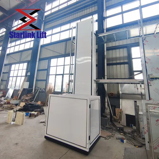CE Customized Elderly 2m-15m Barrier Free Elevator Vertical Lifting Platform Vertical Wheelchair Lift