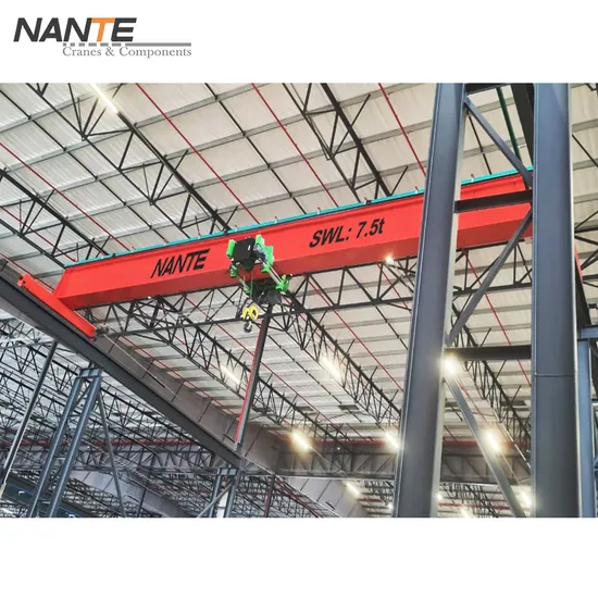 Single Girder Overhead Crane with Custom IP65/IP56 Protection