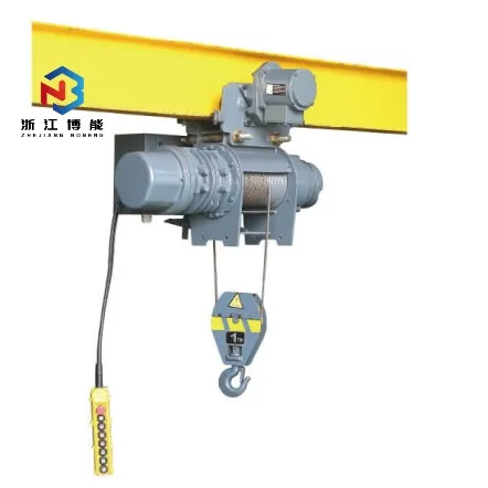 ODM OEM Customized Japanese Style Monorail Traveling Electric Wire Rope Hoist