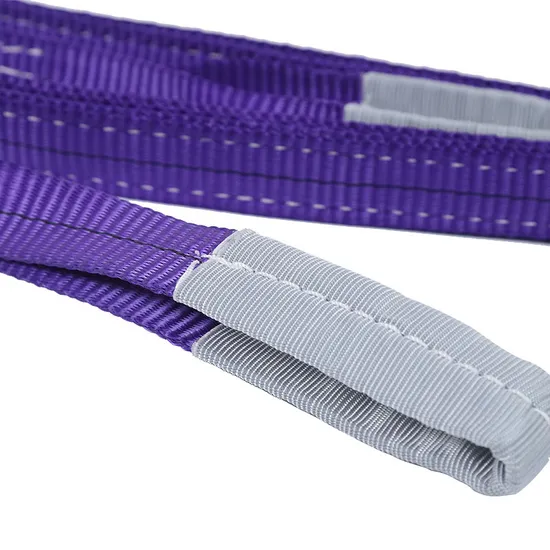 Wholesale 1ton Eslinga Tubular Polyester Webbing Lifting Sling Belt